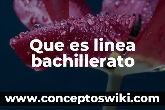 Que es linea de detalle oculto 8 Que es linea bachillerato