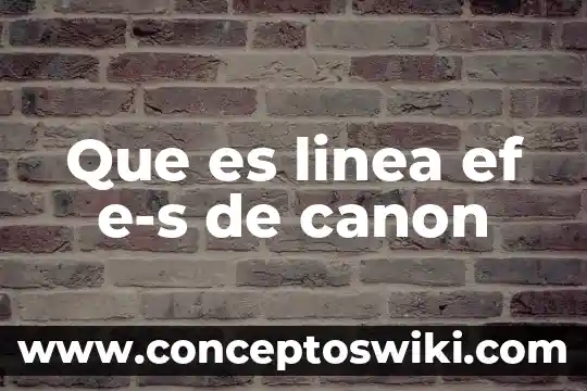 Que es el cañon de un microscopio electronico de trnasmision 4 Que es linea ef e-s de canon