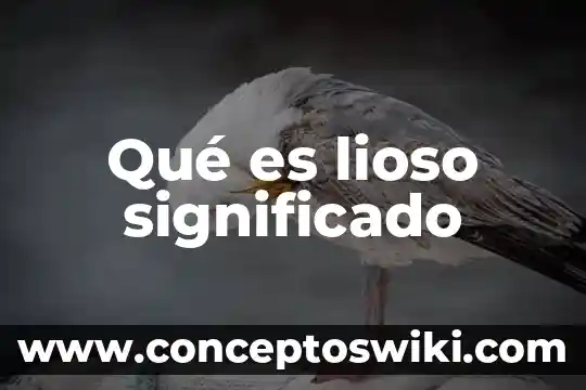 Qué es yugular significado 7 Qué es lioso significado