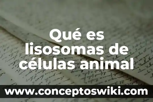 Qué es una célula y tipos de células qué existen 6 Qué es lisosomas de células animal