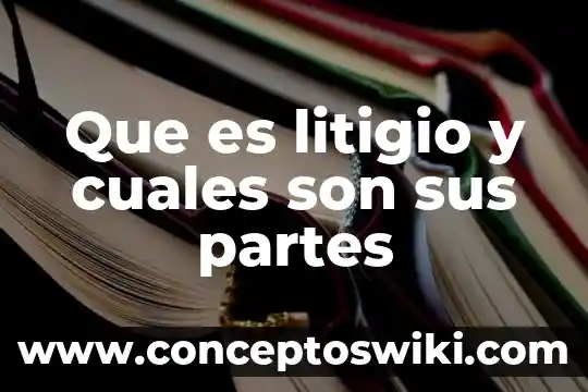 Que es la bios y cuales son sus funciones 5 Que es litigio y cuales son sus partes