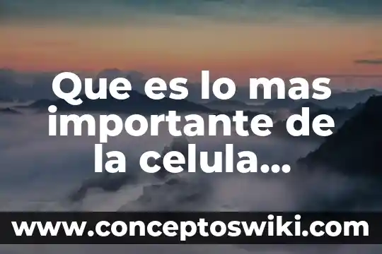 Qué es una célula apoptótica 6 Que es lo mas importante de la celula animal