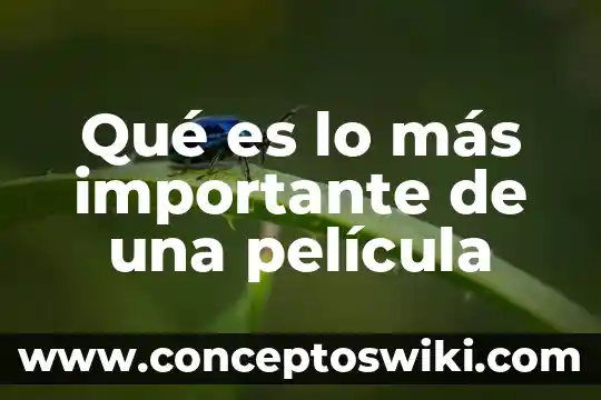 Que es una pelicula en los medios impresos 5 Qué es lo más importante de una película