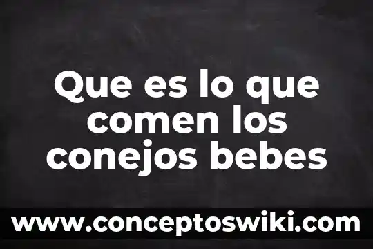 Qué es bueno para el mordido de los bebés 3 Que es lo que comen los conejos bebes