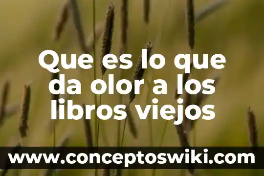 Qué es el saco vitelino libros 4 Que es lo que da olor a los libros viejos