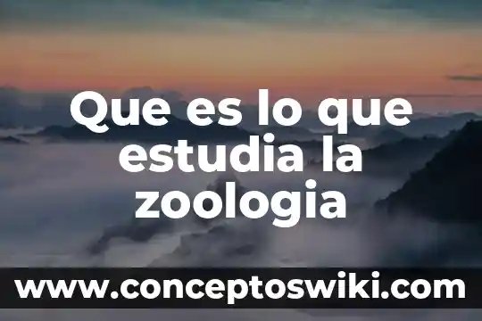 Que es estudia la macroeconomia 4 Que es lo que estudia la zoologia