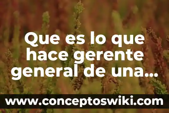 Que es lo que hace el gerente administrativo 4 Que es lo que hace gerente general de una constructora