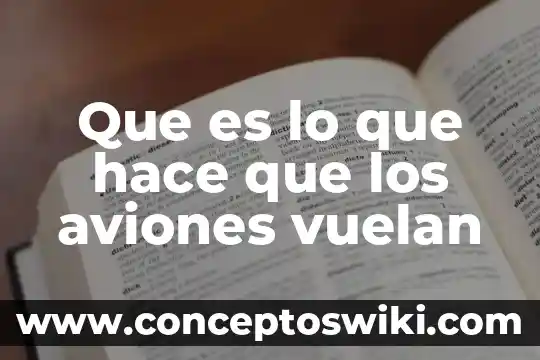 Ami se me hace que es floja 5 Que es lo que hace que los aviones vuelan