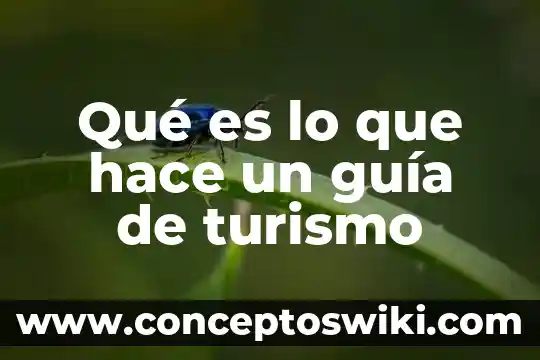 Que es el numero de identificacion unico guia de embarque 4 Qué es lo que hace un guía de turismo