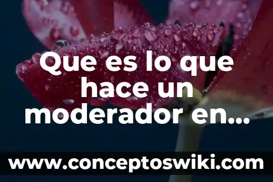 Que es un grupo de alimenticio 3 Que es lo que hace un moderador en un grupo