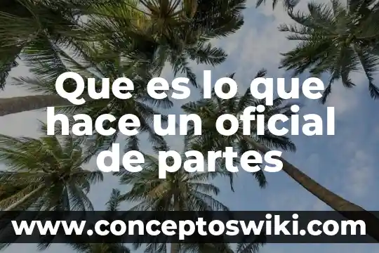 Que es una norma oficial definicion.de 7 Que es lo que hace un oficial de partes
