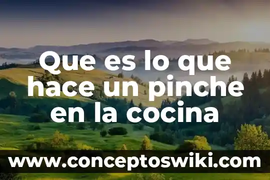 Ami se me hace que es floja 4 Que es lo que hace un pinche en la cocina