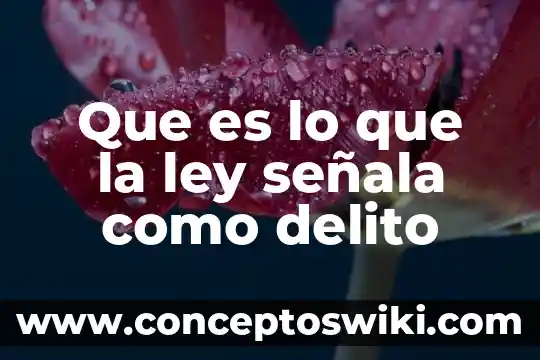 Que es delito en contabilidad 6 Que es lo que la ley señala como delito