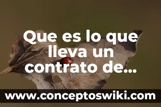 Que es un contrato forward modelo 7 Que es lo que lleva un contrato de trabajo