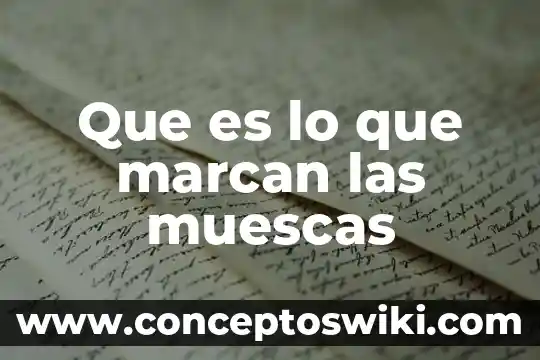 Qué es el símbolo matemático norma 6 Que es lo que marcan las muescas