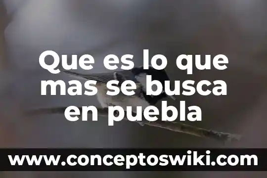 Que es rectificacion administrativa de acta de nacimiento puebla 5 Que es lo que mas se busca en puebla