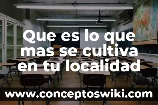 Que es clasificacion de capacitación con tu definicion 7 Que es lo que mas se cultiva en tu localidad