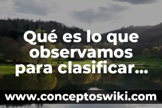 Qué es la estructura molecular del agua 5 Qué es lo que observamos para clasificar el agua