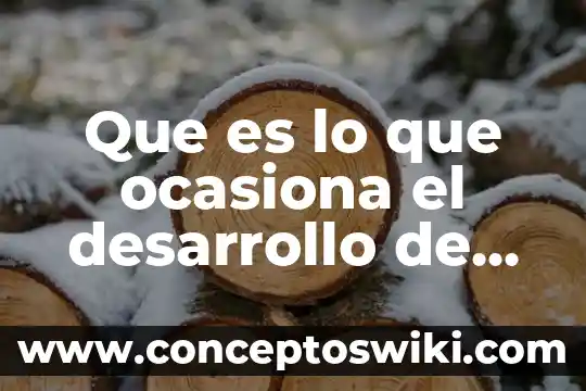 Que es el desarrollo de la planta 5 Que es lo que ocasiona el desarrollo de los minerales