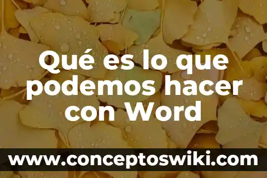 Que es computadora de viaje 3 Qué es lo que podemos hacer con Word