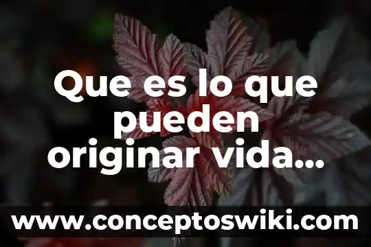 Por que es importante la vida animal 8 Que es lo que pueden originar vida en los planetas