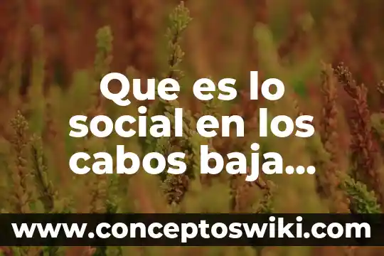 Comida de baja california que es patrimonio cultural 6 Que es lo social en los cabos baja california sur