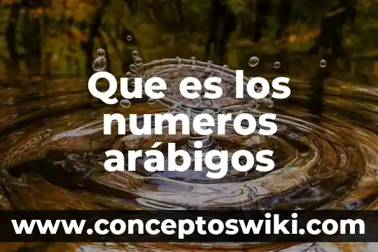 Que es la jerarquía de numeros 4 Que es los numeros arábigos