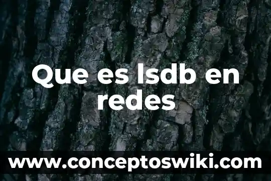Que es una bulneravilidad redes 5 Que es lsdb en redes