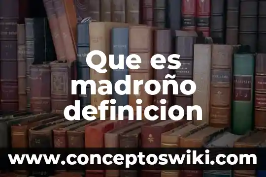 Qué es acero efervescente definición 6 Que es madroño definicion