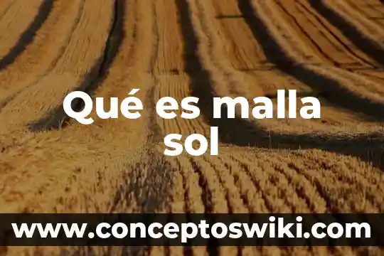 Que es la excrecion en los seres vivos 4 Qué es malla sol