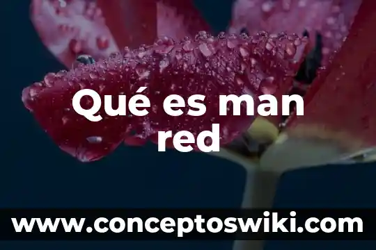 Que es la red man y como funciona 4 Qué es man red