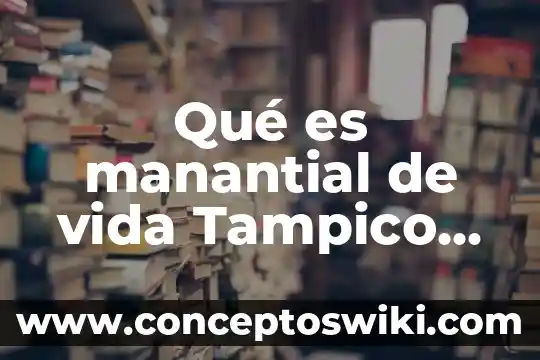 Secretaria de bienestar social tamaulipas que es 5 Qué es manantial de vida Tampico Tamaulipas