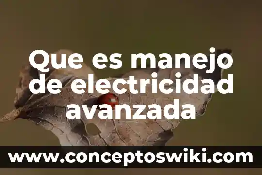 Qué es un esquema de electricidad 7 Que es manejo de electricidad avanzada