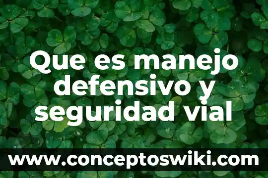 Que es seguridad social prezi 4 Que es manejo defensivo y seguridad vial
