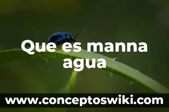 Qué es agua artificial 5 Que es manna agua