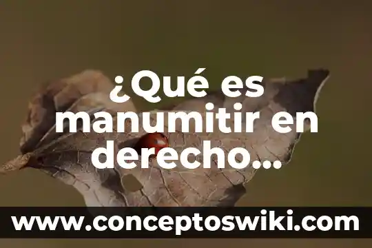 Que es res derecho romano 7 ¿Qué es manumitir en derecho romano?