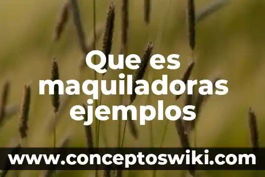 Que es plurilingüismo ejemplos 5 Que es maquiladoras ejemplos