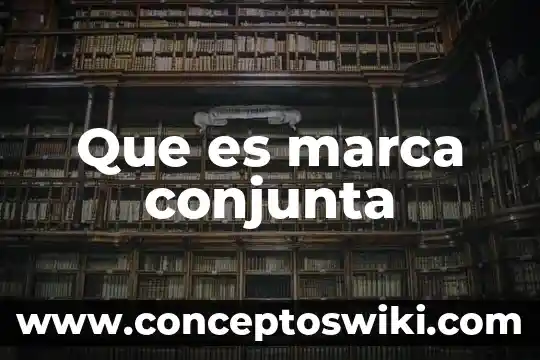 Que es la marca flexi 6 Que es marca conjunta