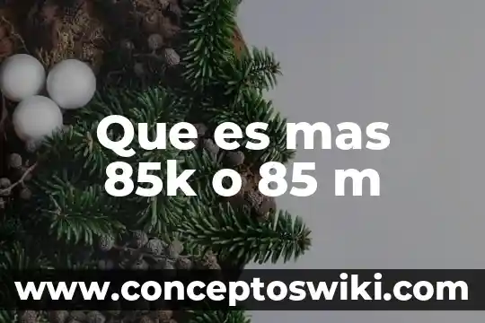 ¿Qué es más hablado el japonés o el ruso? 6 Que es mas 85k o 85 m