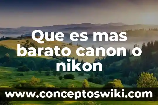 Que es el cañon de un microscopio electronico de trnasmision 8 Que es mas barato canon o nikon