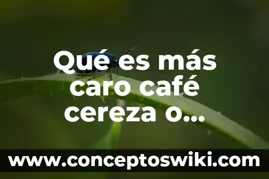 ¿Qué es más hablado el japonés o el ruso? 3 Qué es más caro café cereza o pergamino