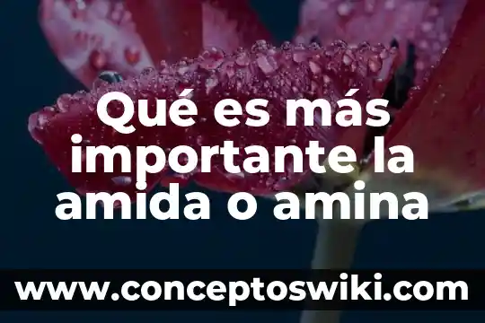 Frase de lo importante que es dormir 3 Qué es más importante la amida o amina