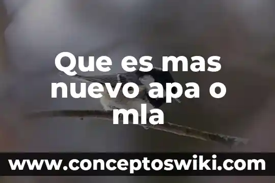 Que es quimica con formato apa 7 Que es mas nuevo apa o mla