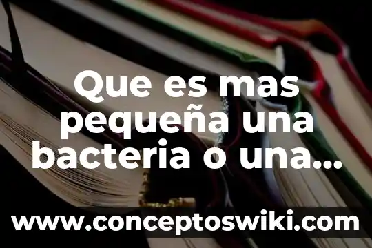 ¿Que es dna en una celula? 8 Que es mas pequeña una bacteria o una celula