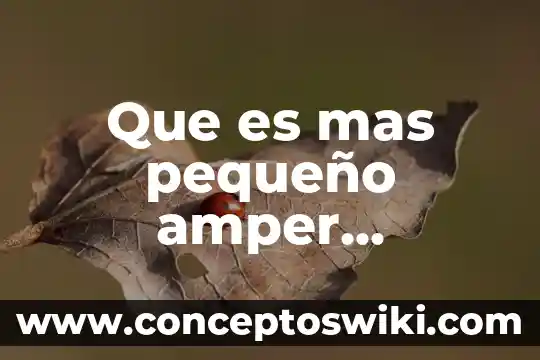 ¿Qué es más barato la acuaponía e hidroponía? 4 Que es mas pequeño amper miliamper o microamper