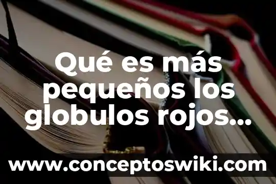 Que es lo que mas produce namibia 4 Qué es más pequeños los globulos rojos o un virus