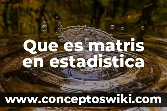 Que es la division de la estadistica clasica 4 Que es matris en estadistica