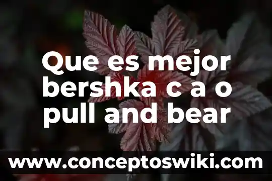 Que es un pull up activo 4 Que es mejor bershka c a o pull and bear