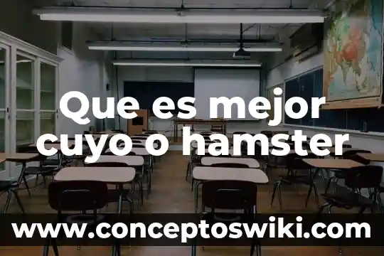 Qué es mejor un aparrico o catedral 5 Que es mejor cuyo o hamster