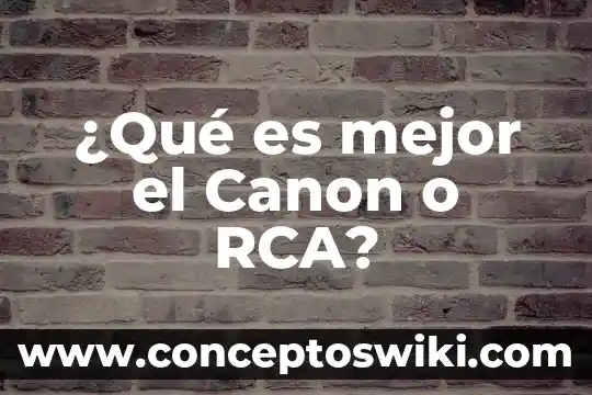 Que es el cañon de un microscopio electronico de trnasmision 6 ¿Qué es mejor el Canon o RCA?